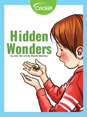 cover image of Hidden Wonders